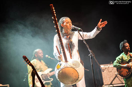 African Music Festival Emmendingen ’19