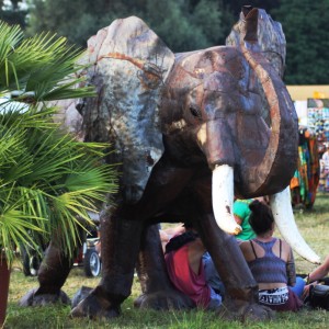 Sunrise Festival, Burtenbach